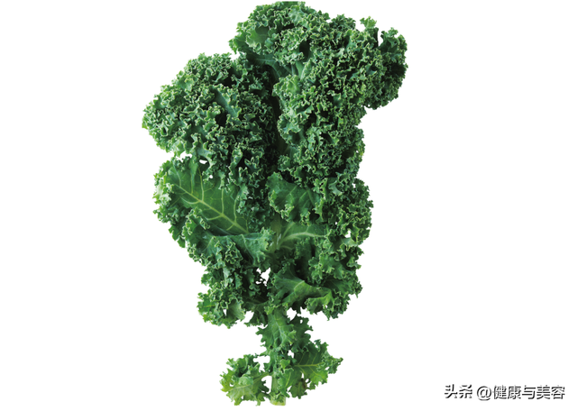 甘蓝菜的营养价值，甘蓝菜的营养价值（详解抗氧化蔬菜羽衣甘蓝）