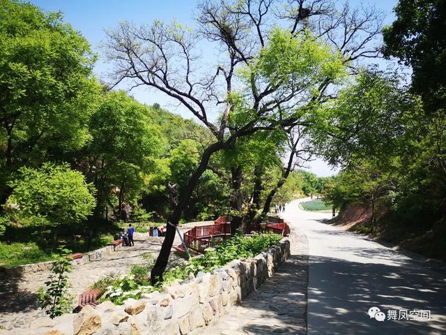 北京西山森林公园，北京西山森林公园登山路线推荐（西山国家森林公园）