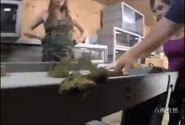 猫为什么可以跟毒蛇打架，猫和蛇打架猫不怕毒吗（重庆一只小猫叼着小毒蛇回家）