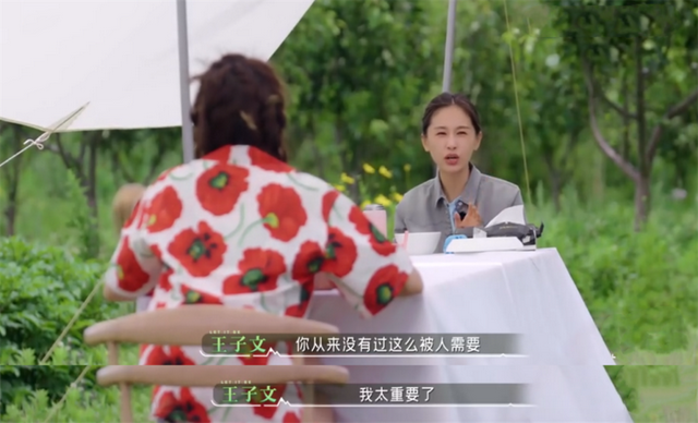 王朔与王子文私下关系，与贾乃亮传绯闻多年、未婚生子