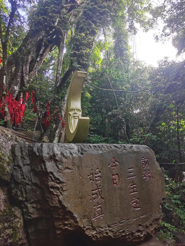 七仙岭带你爬山，假期运动量统统献给了这个热带雨林