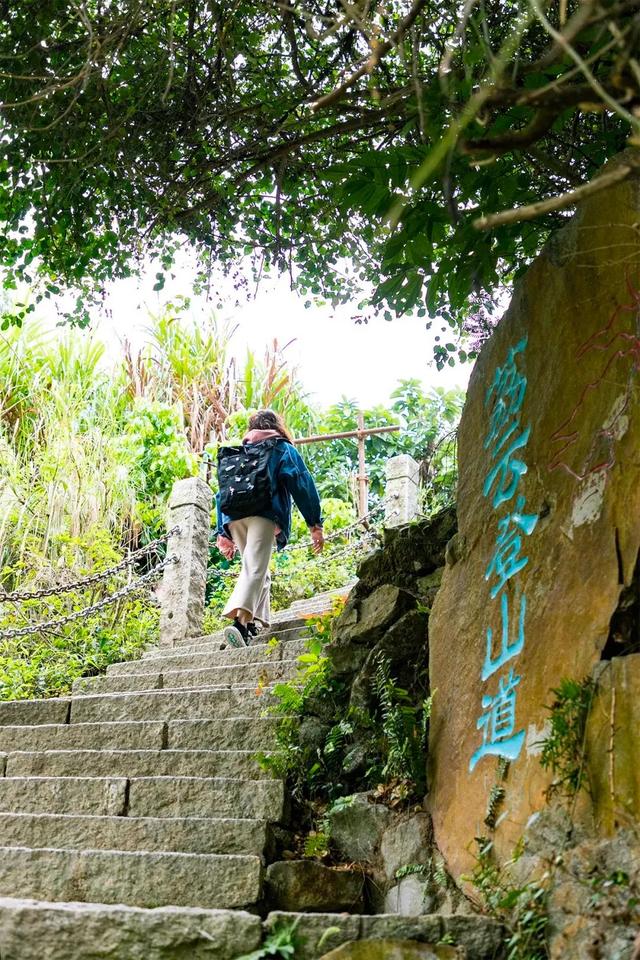 深圳好玩的免费景点，深圳哪里好玩的景点（来深圳这10个地方免费玩）