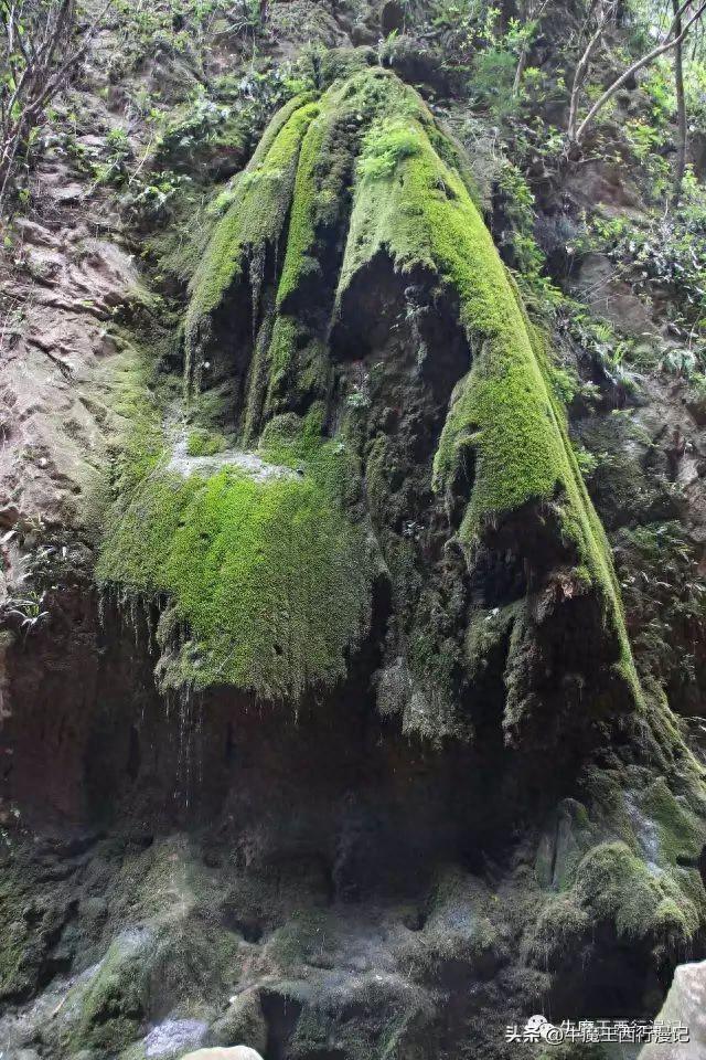 云南会泽有哪些地方值得推荐
