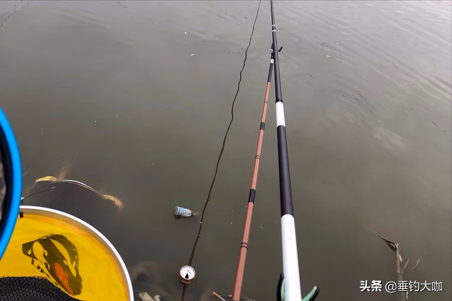 什么鱼竿好(刚学钓鱼买什么鱼竿)