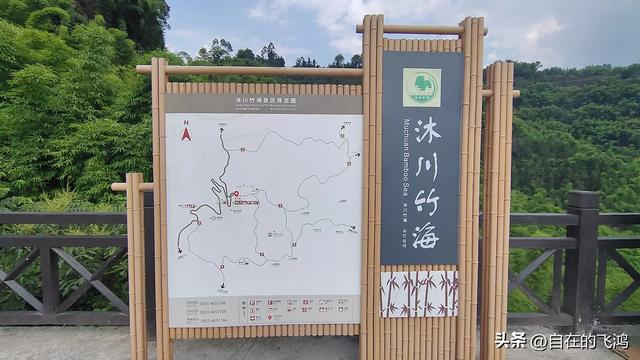 自驾沐川竹海环线,晚上在竹海中露营