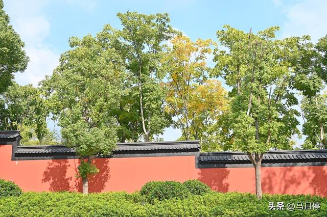 杭州旅游有哪些乐园，这些地方的秋色藏不住了