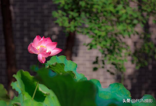 摄影的基本知识和技巧，摄影技巧知识大全（过来人给你分享6个技巧）