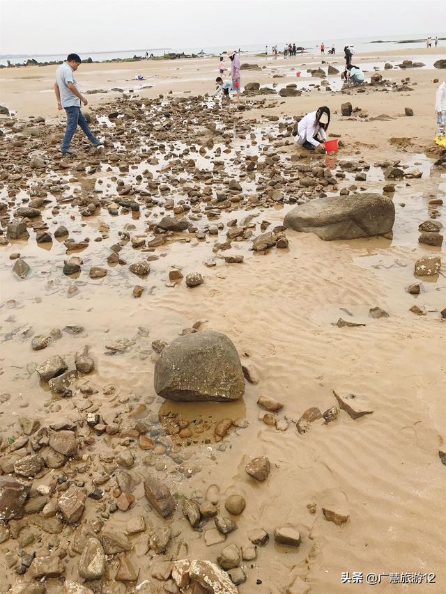 日照海边好玩的地方介绍，日照海边景点哪里好玩（日照海水浴场top榜——各景点攻略）