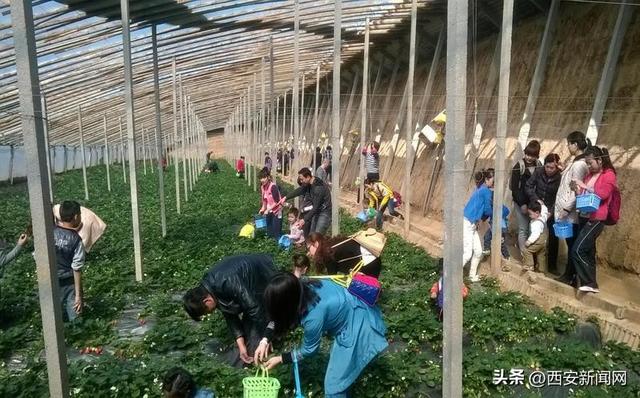 春季旅游十大攻略，10条乡村旅游精品线路任您选