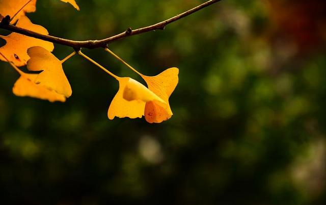 记录美好时光的句子，记录美好时光的短句（怀念曾经的美好时光）