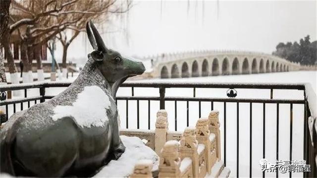 铜雕厂家盘点 三个厂家介绍，铜雕厂家盘点（铜牛.昆明湖畔铜牛.河北铜牛.铜雕生产厂家）