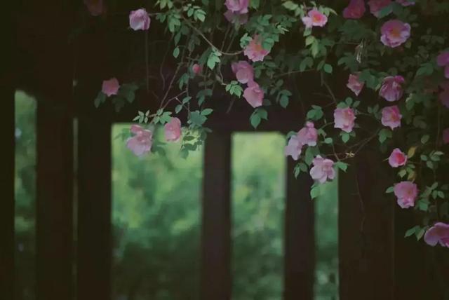 朋友圈显示三天可见是被屏蔽了吗，朋友圈显示三天可见是被屏蔽了吗知乎（“朋友圈”设置三天可见的人）