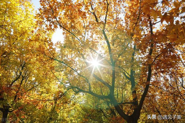 秋天的风怎么形容，冬天的风怎么形容唯美（散文：秋，从一缕风吹处起笔）