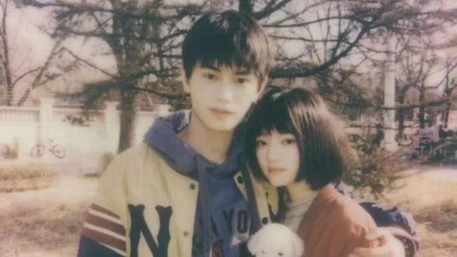 赵非什么电视剧，赵非是哪部剧里的人物（《十年一品温如言》豆瓣评分2.8）