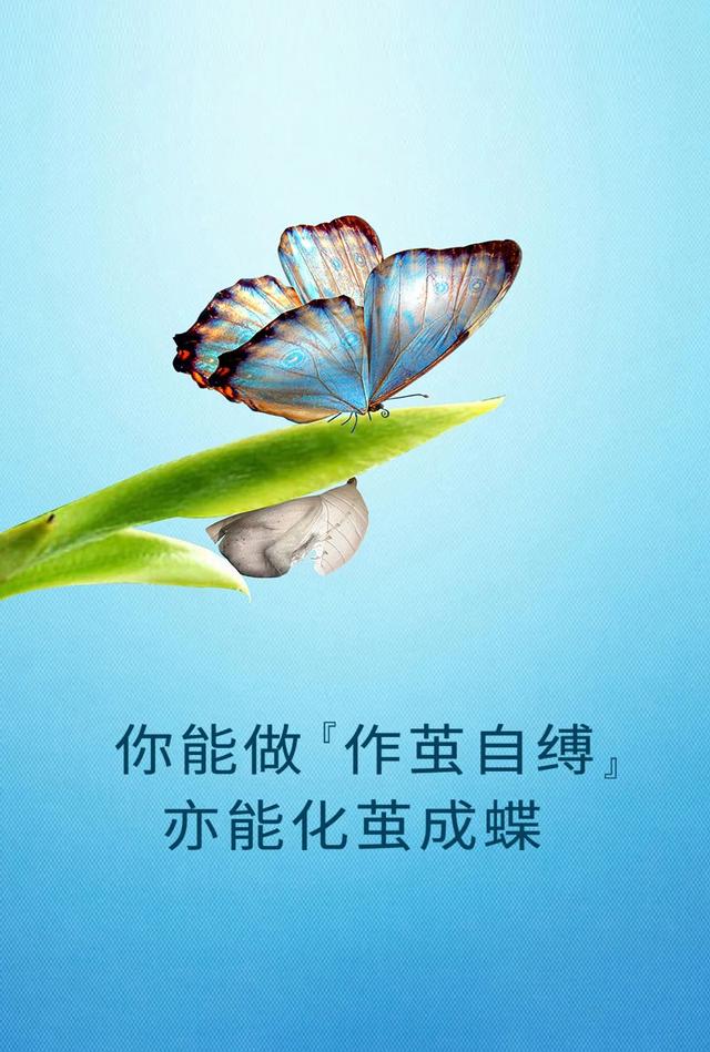 工作辛苦正能量的幽默句子，开心上班幽默正能量的句子（正能量温情语录句子）