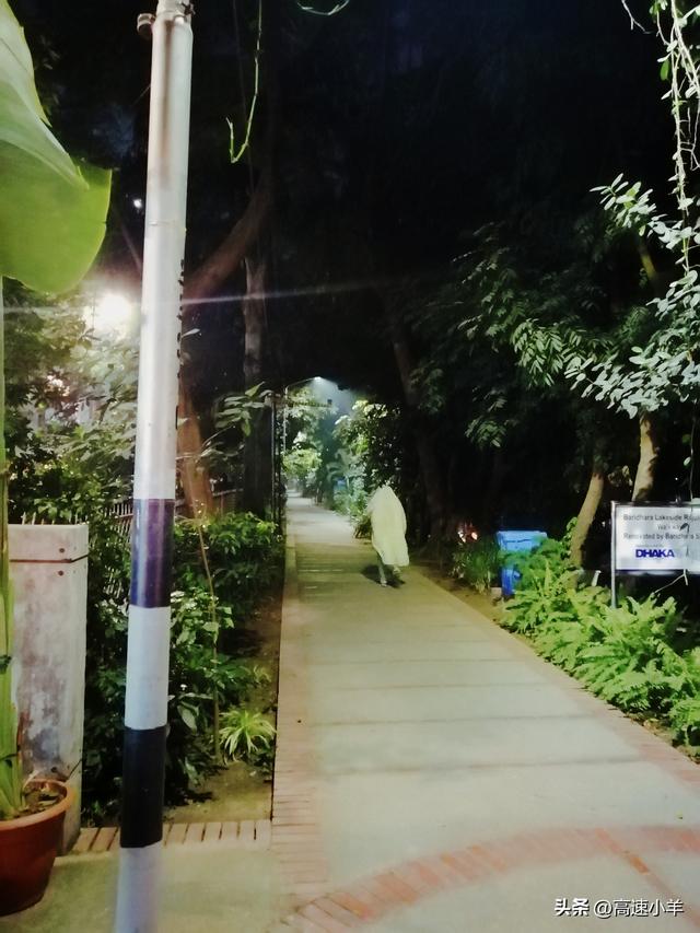 最适合无器械健身锻炼的动作和方法，室内无器械健身方法（在国外有限条件下如何健身）