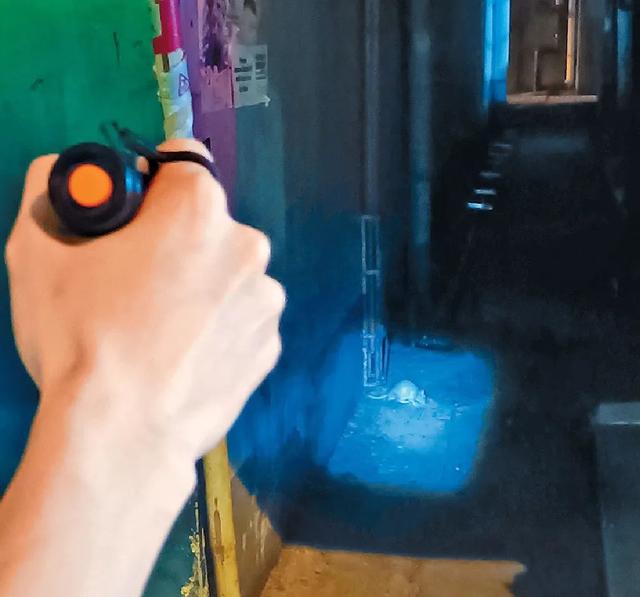 家里有老鼠怎么办能除根 家里老鼠太多怎么消灭，家里有老鼠怎么办能除根（扑灭一只老鼠成本超万元）