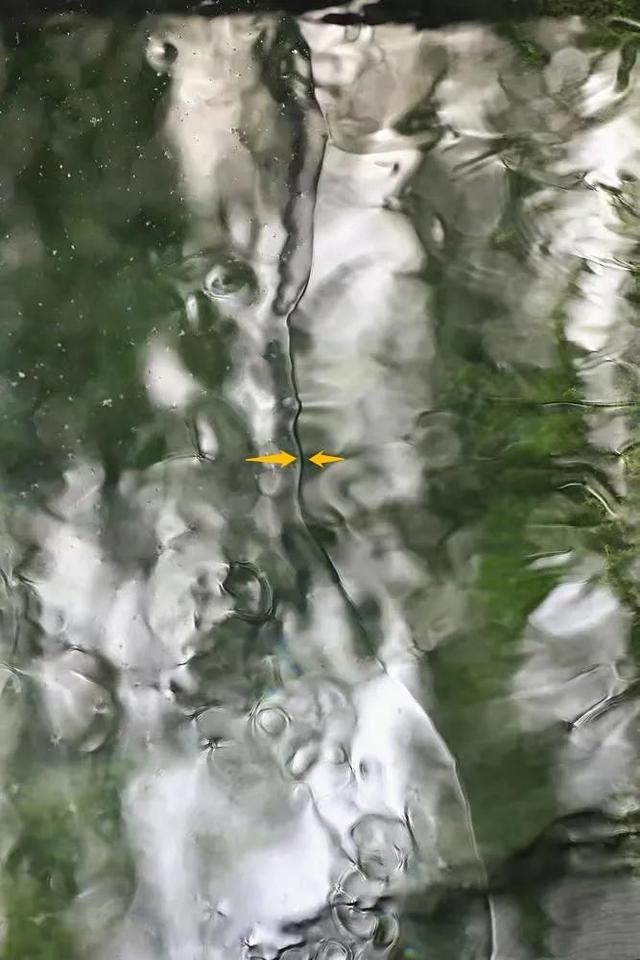 厦门趵突泉简介，厦门趵突泉景点简介（19年难得一遇的“双节合一”）