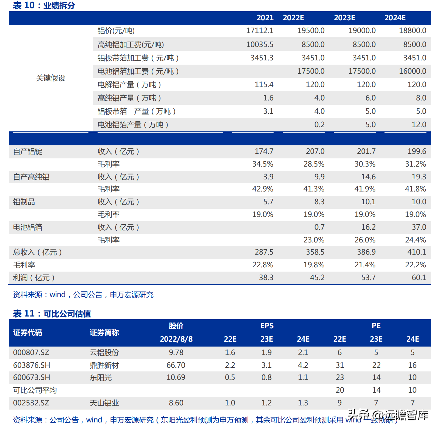 东阳光铝（国内电解铝龙头）