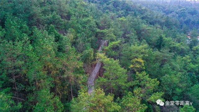 附近景区哪里好玩，宁波附近哪里好玩（大都1天打来回）