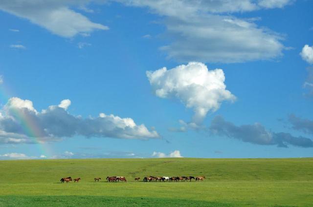 内蒙古大草原旅游攻略，暑假内蒙古旅游哪里好玩（内蒙古十大景区之）