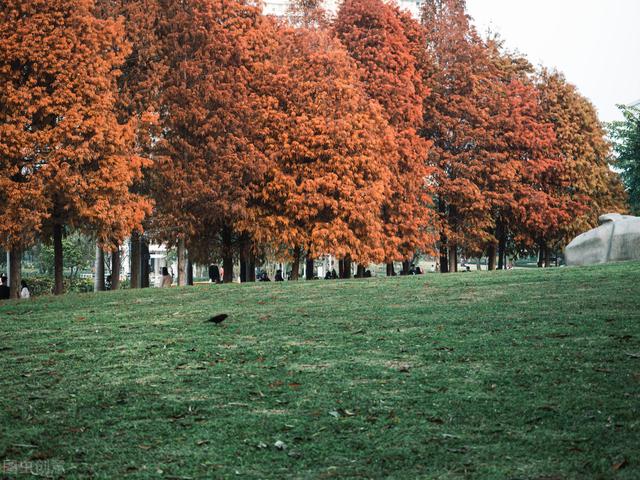 去厦门必去的几个地方，厦门必去的几个景点（这8个好玩又好拍的免费游玩圣地）