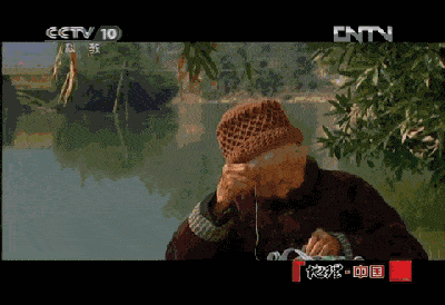 火麻油怎么吃，长寿之乡的饮食密码（什么是麻油）