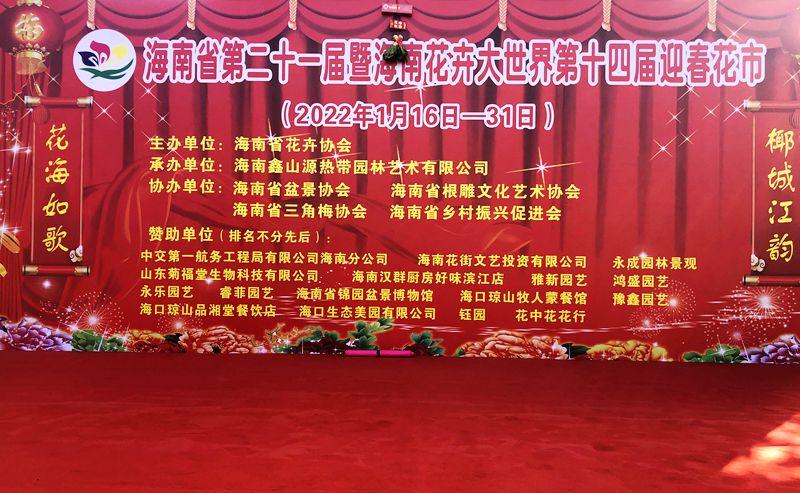 麒麟花的寓意是什么，客厅摆放麒麟的图片（海南迎春花市年味渐浓）