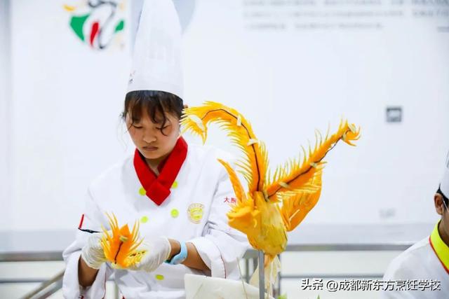 女孩子适合上什么技校，女生上技校适合什么专业（技校适合女生的专业）