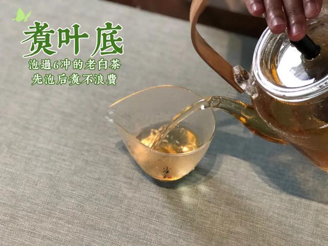 盖碗适合泡什么茶，玻璃盖碗适合泡什么茶（哪个才是适合白茶的方法）