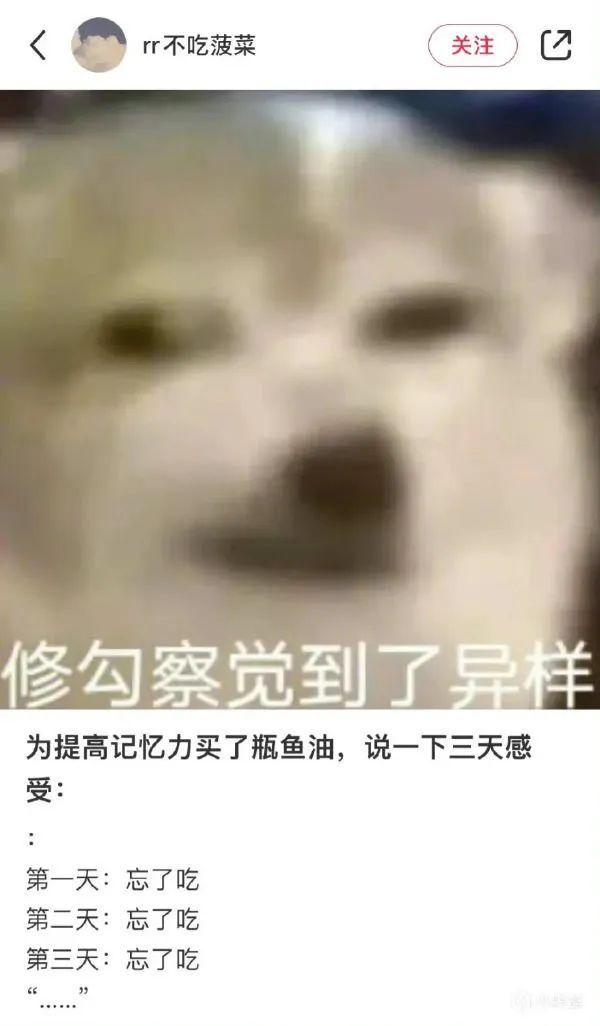 ddl是什么意思(网络语ddl是什么梗)，ddl是什么意思（拖延症脱单还得靠ddl）