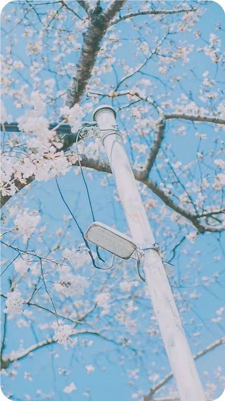 人生九言经典语录，我自己的人生，我想自己决定