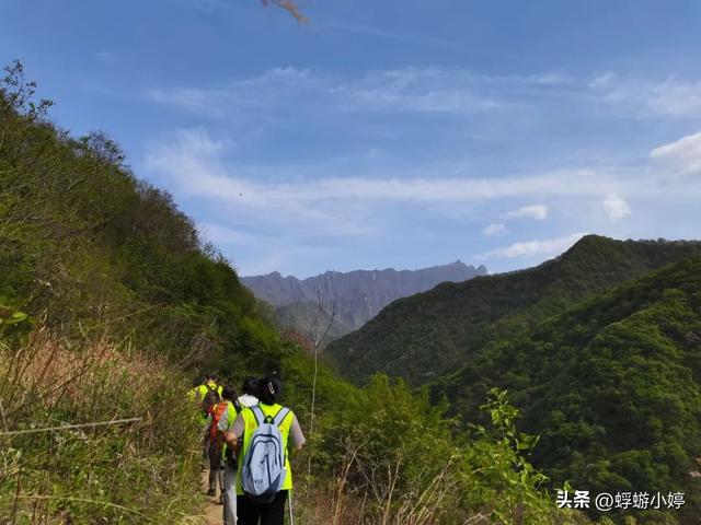 西安四月秦岭西寺沟紫荆花海，有山有水有你有我有爱