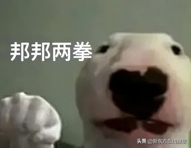 雅思好考吗，考一次雅思的费用（真有人雅思只考3.5分）