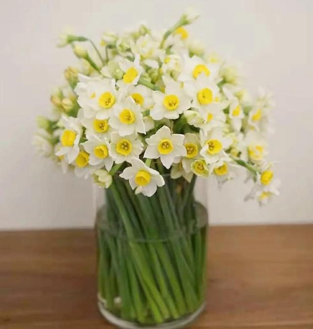 看望病人买什么鲜花，适合送病人的鲜花有哪几种（哪些花代表健康、平安、幸福）