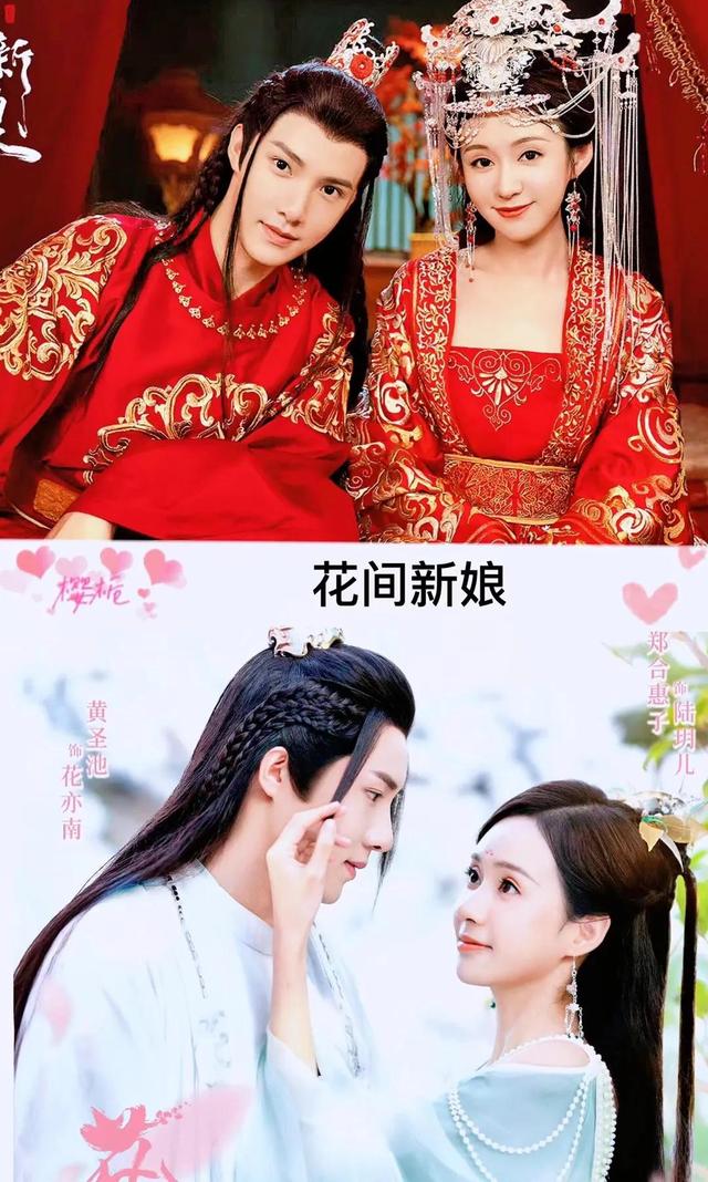 邢昭林和白鹿的电视剧是哪一部，白鹿邢少林的电视剧（30部由男女主角二次合作的电视剧）