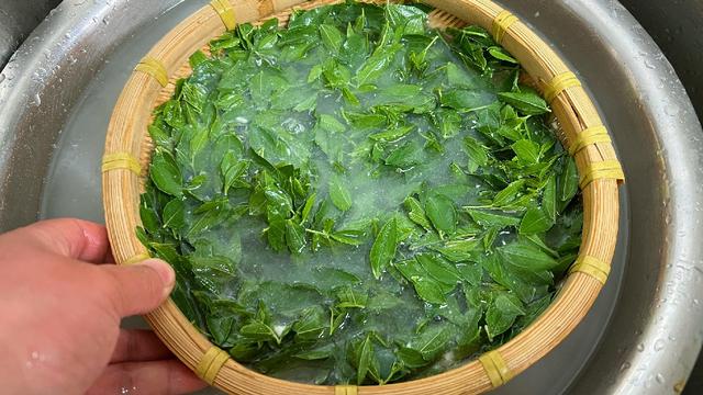 酸枣芽怎样制成茶叶，怎样自制酸枣叶茶（遇到这叶子别手软）