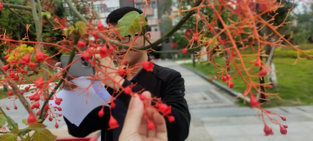 平凡的世界简介梗概，平凡的世界简介梗概1500（《平凡的世界》写了什么）