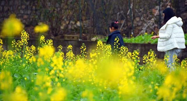 兴义最佳旅游时间，恋上南国“小春城”~