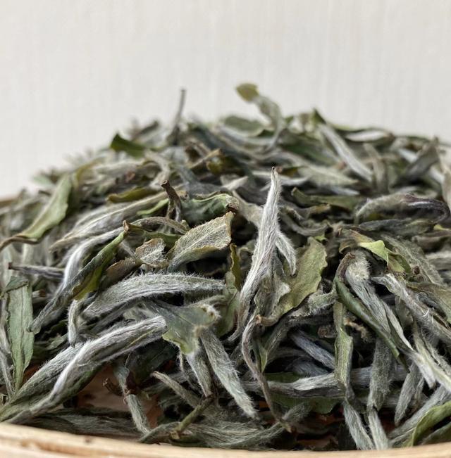 什么是白茶，什么是白茶 白茶的功效（你可能对白茶很陌生）