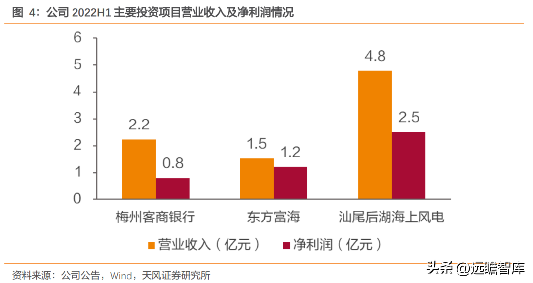 宝丽华（广东省民营电力企业）