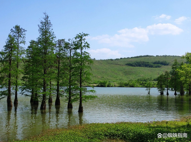 南京周边旅游景点推荐，南京周边自驾游（34个好玩又免费的宝藏公园）