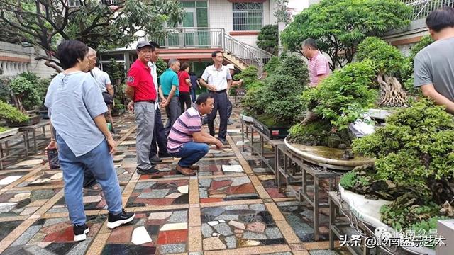 7月开什么花，哪些花是夏天开的（八月花飞万物生）