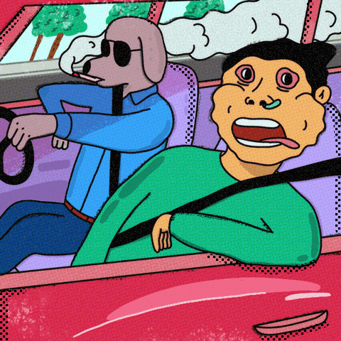 在德国租车有什么好的选择，在德国租车有什么好的选择吗（收下这份英国租车保姆级攻略）