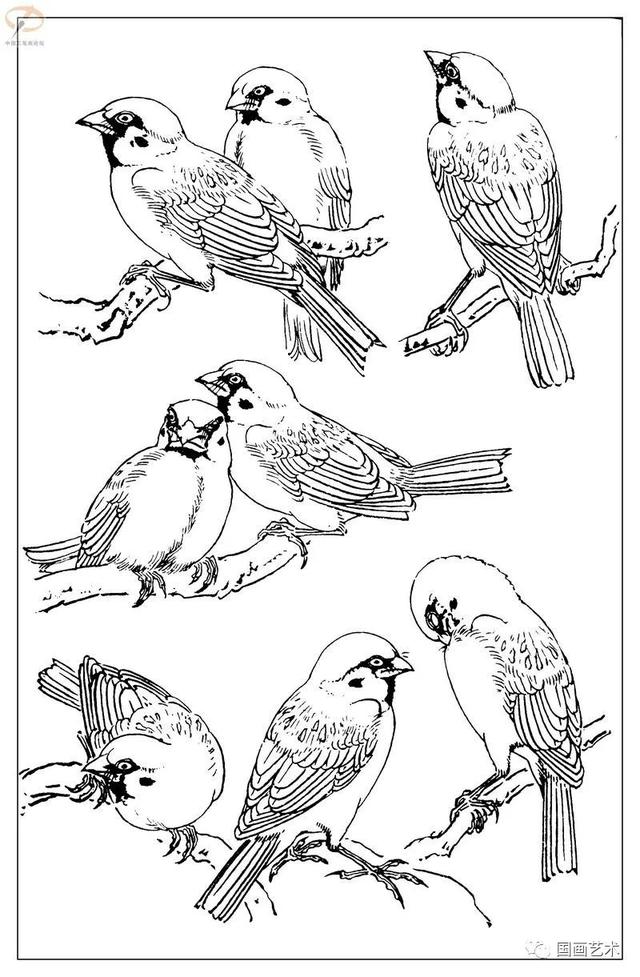 火的简笔画图片，火焰怎么画简笔画图片（画鸟参考——白描麻雀百图）