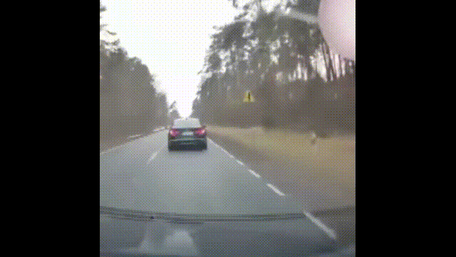 鹿血酒多少钱一瓶，鹿血酒一瓶500ml要多少钱（这是人们认为它是仙兽真正的原因）