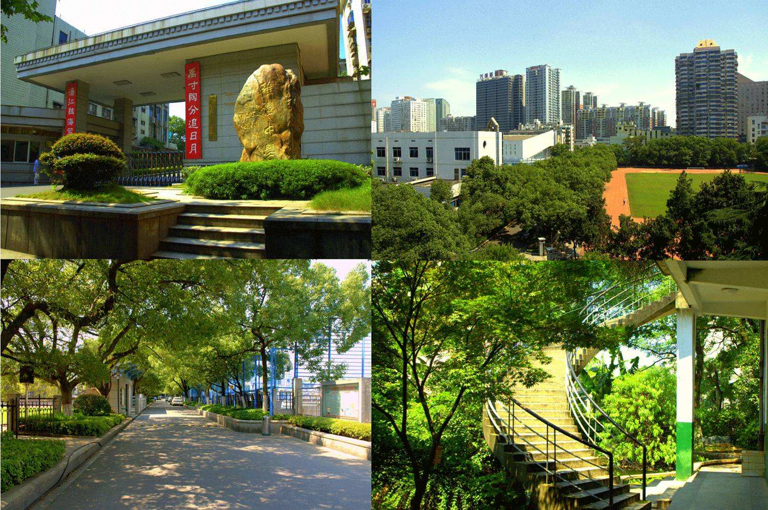 长沙市一中50人,长沙麓山国际实验学校18人,衡阳八中14人,湘潭县一中