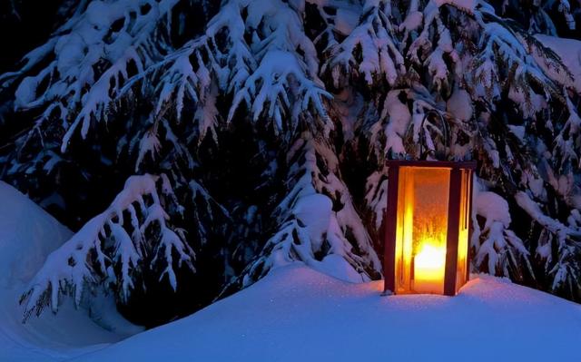 有关雪的诗句有哪些，关于雪的诗句还有哪些（欣赏童话般美好的雪夜）