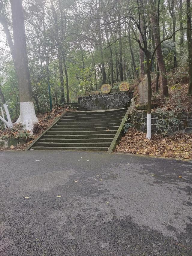 歌乐山森林公园，重庆旅游必去景点（歌乐山国家森林公园）