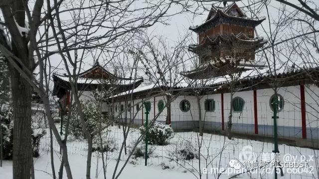 南山公园在哪里，深圳大南山公园开放时间（这是你们熟悉的那个南山公园吗）